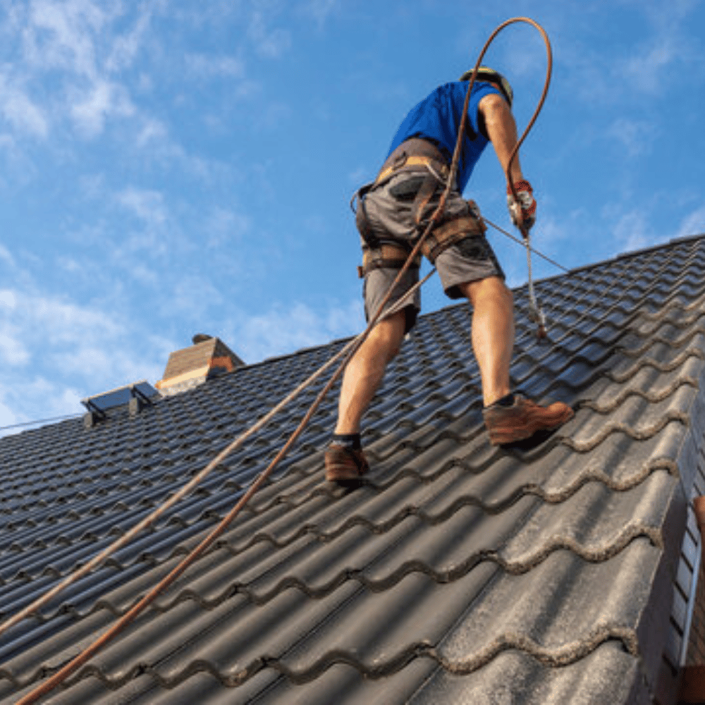 Roof painter